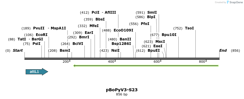 104955_map