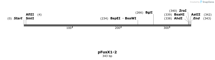 104958_map