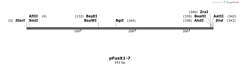 104968_map