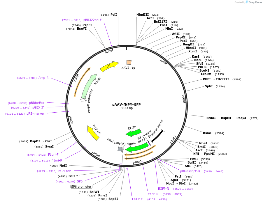 10498_map