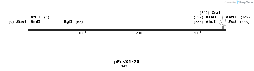 104994_map