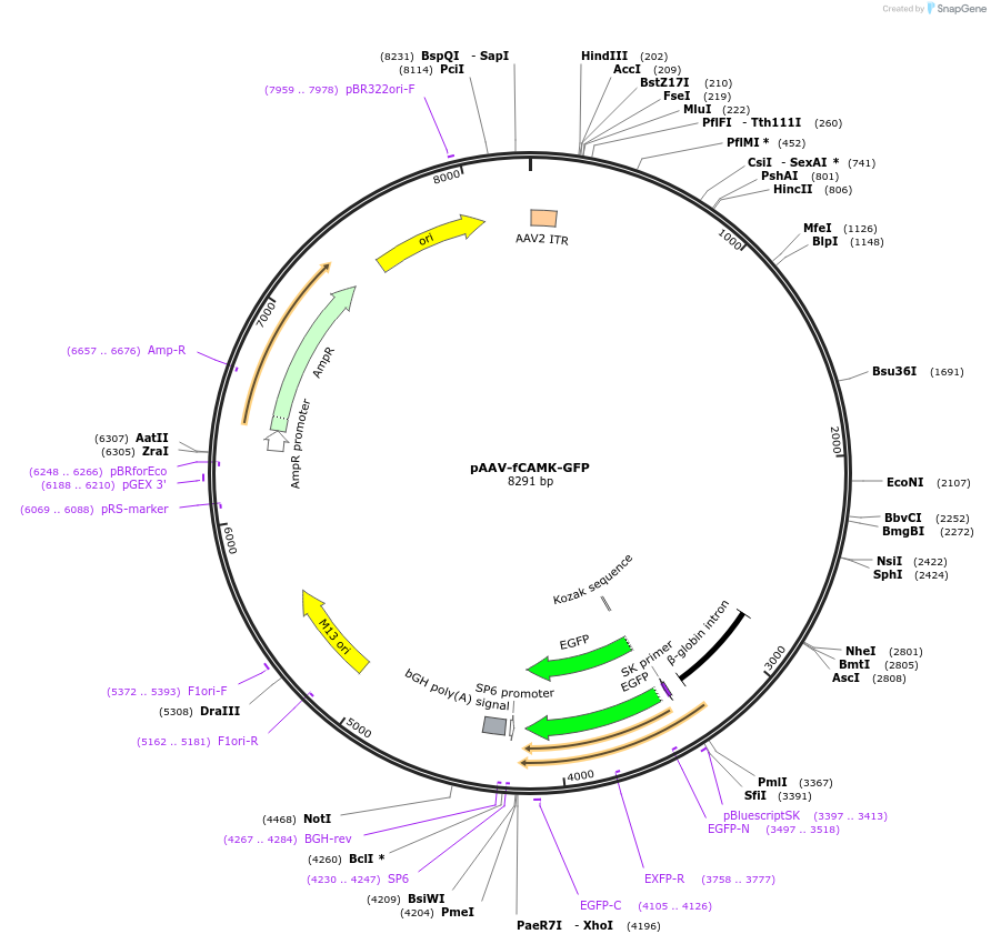 10502_map