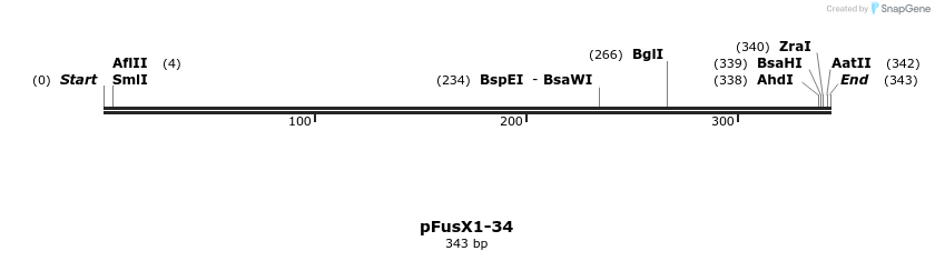 105022_map
