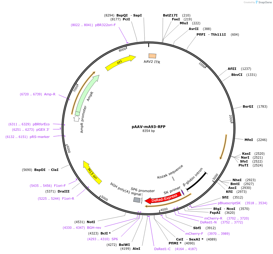 10503_map