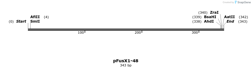 105050_map
