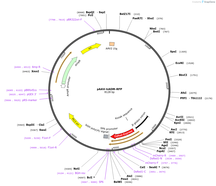 10506_map