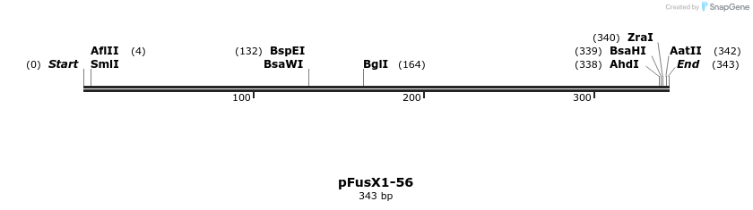 105066_map