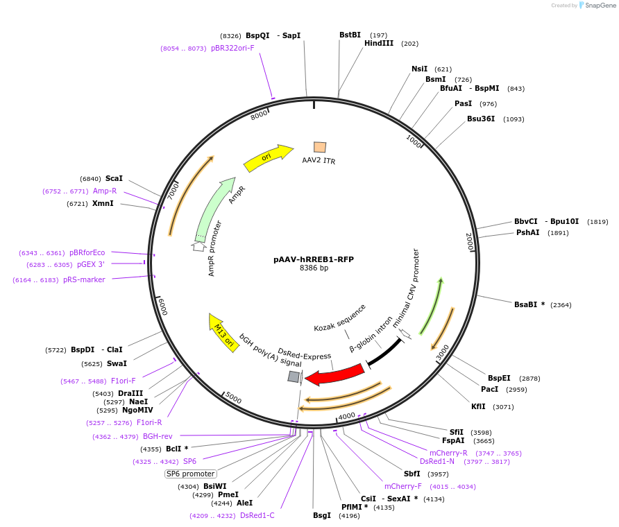 10508_map