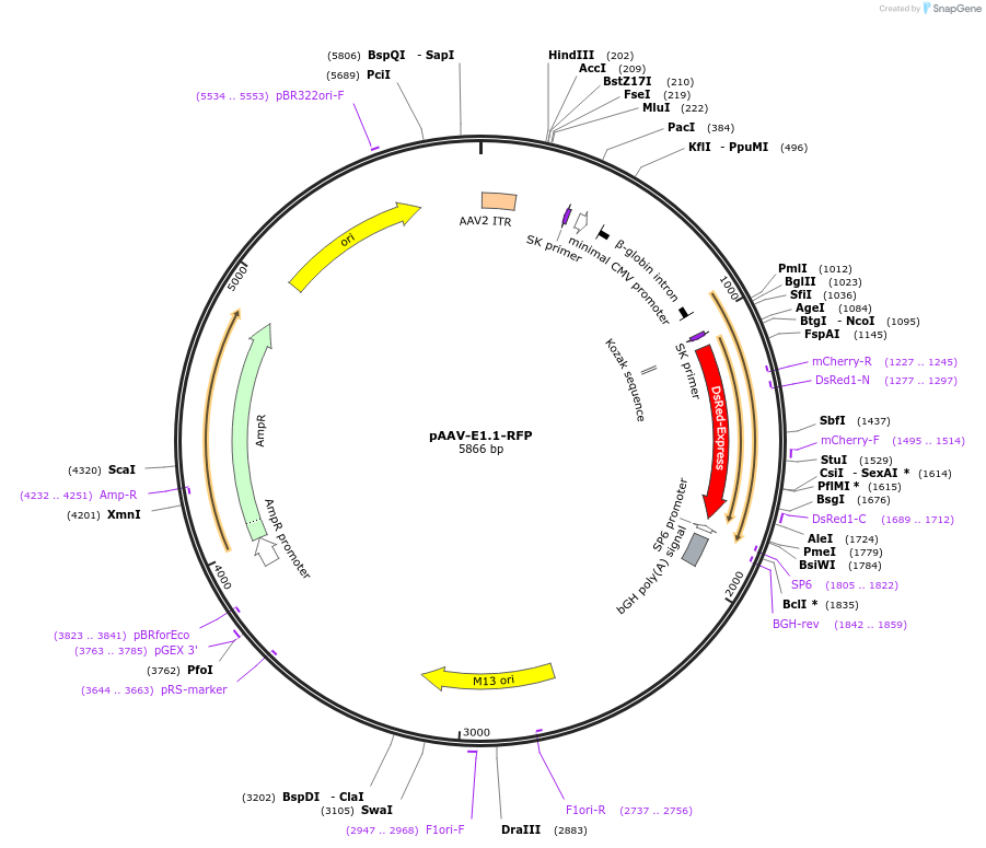 10512_map