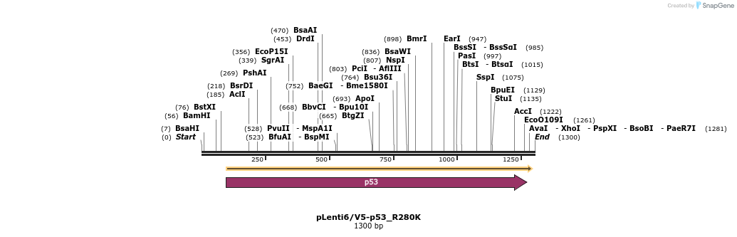 10514_map
