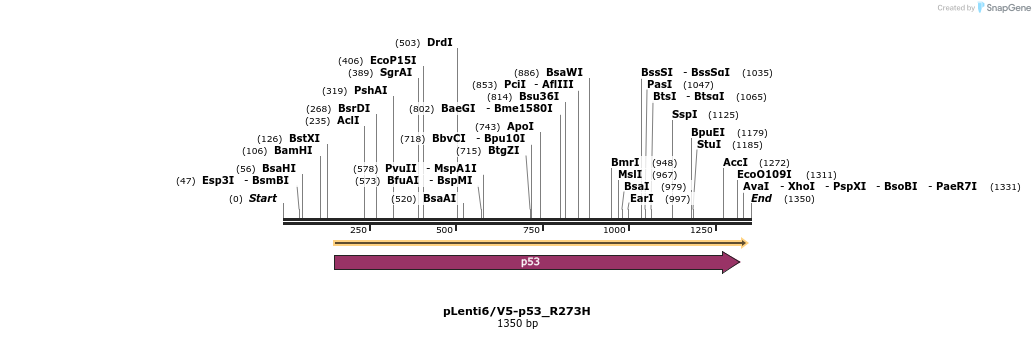10515_map