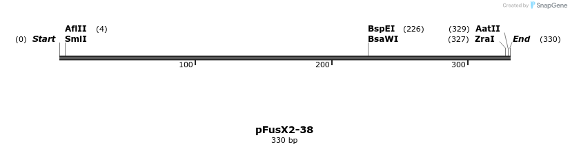 105158_map