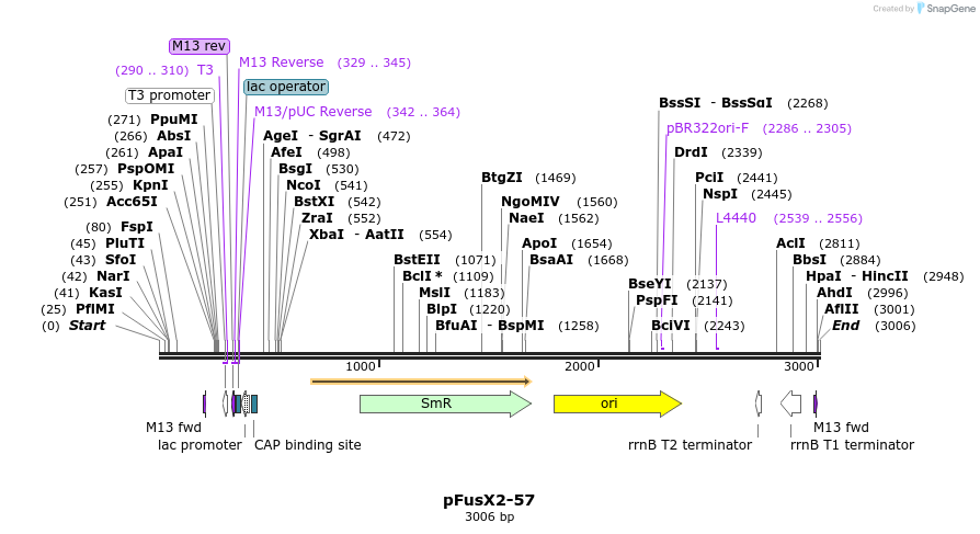 105197_map