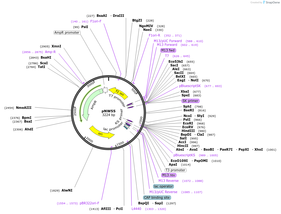 10520_map
