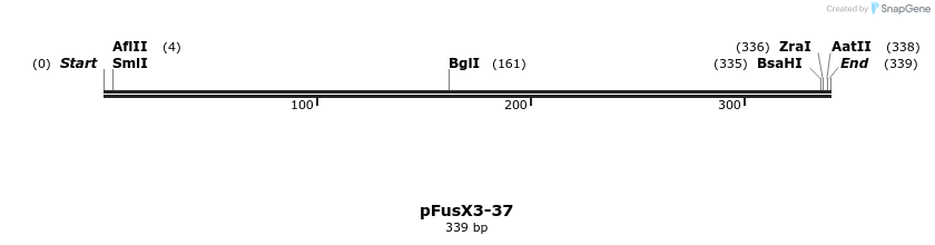 105282_map