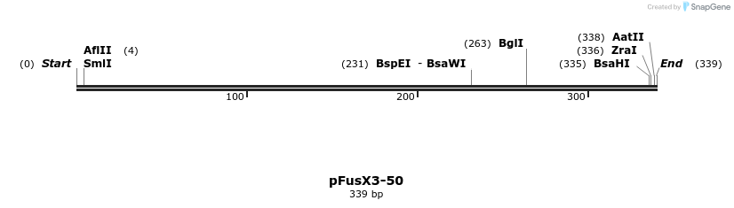 105308_map