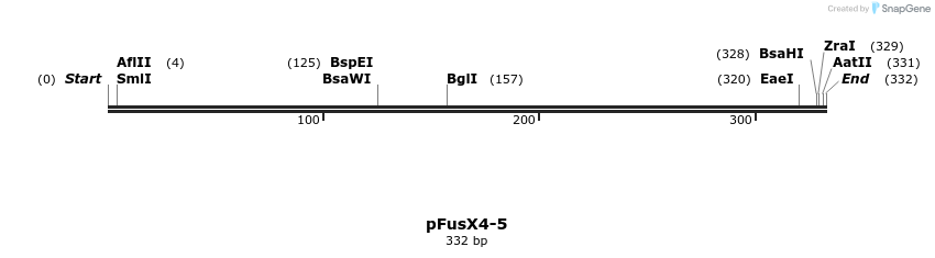 105346_map