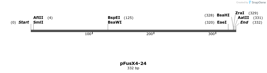 105384_map