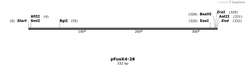 105392_map
