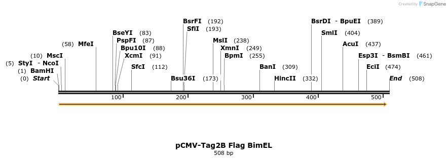 10543_map