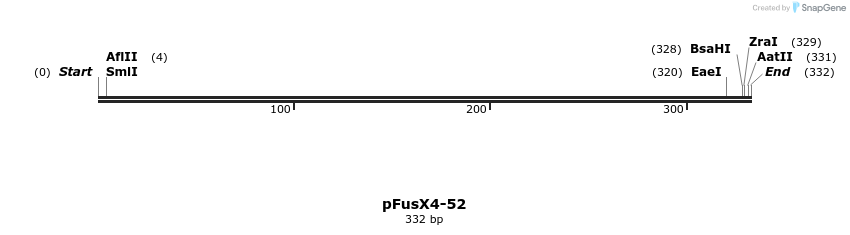 105438_map