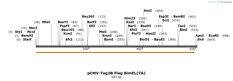 10546_map