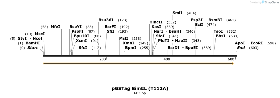 10548_map