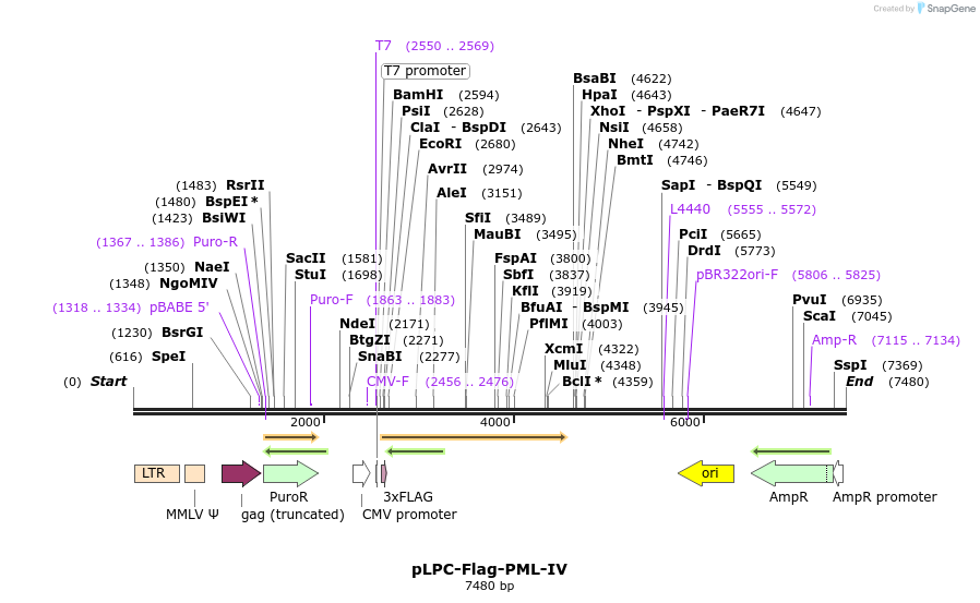 105615_map