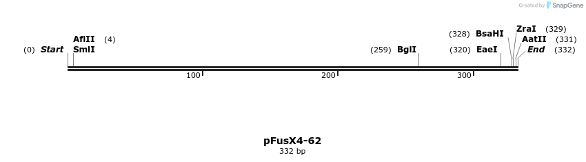 105621_map