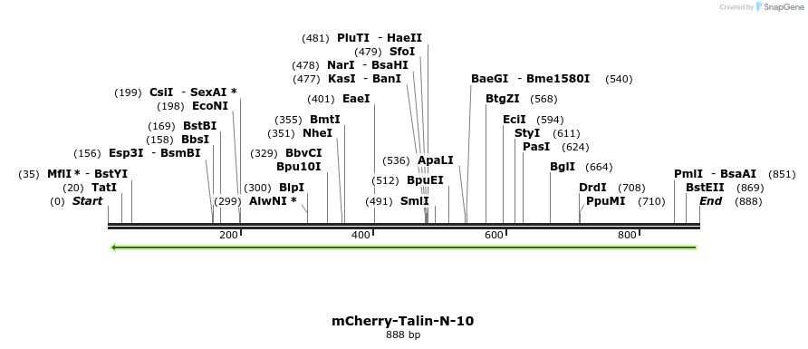 105631_map