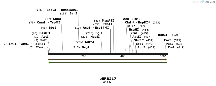 105632_map
