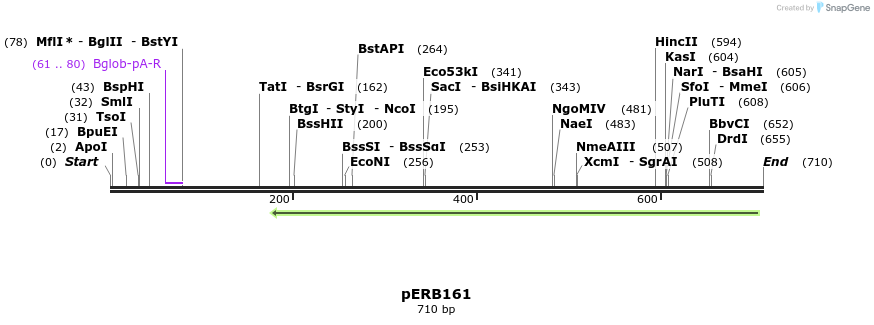 105634_map
