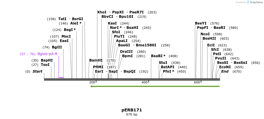105642_map