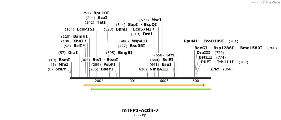 105648_map