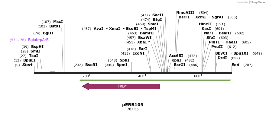 105655_map