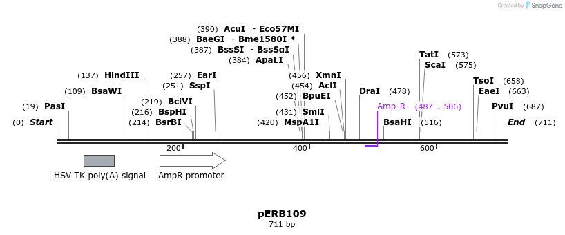 105656_map
