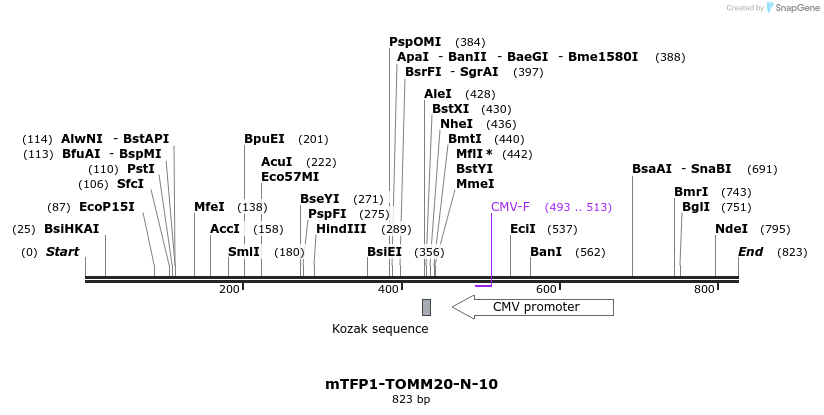105661_map