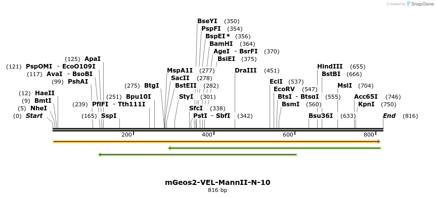 105664_map