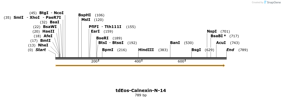 105666_map
