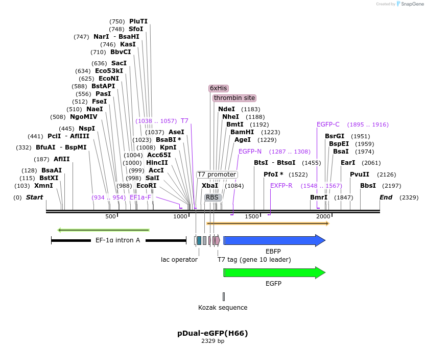 105669_map