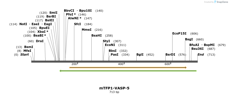 105671_map