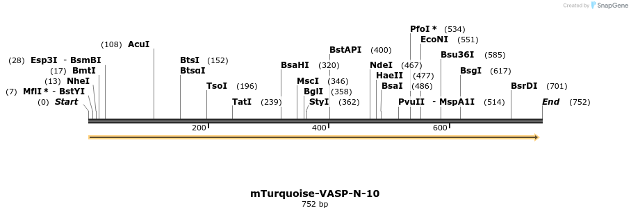 105672_map