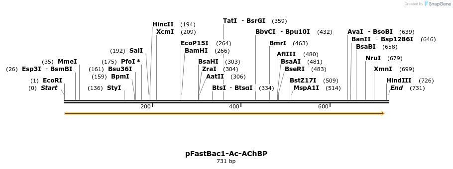 105673_map