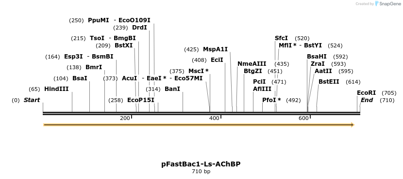 105674_map