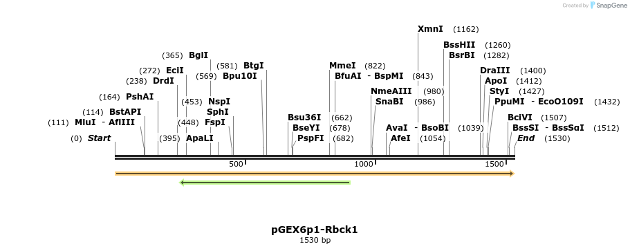 105677_map