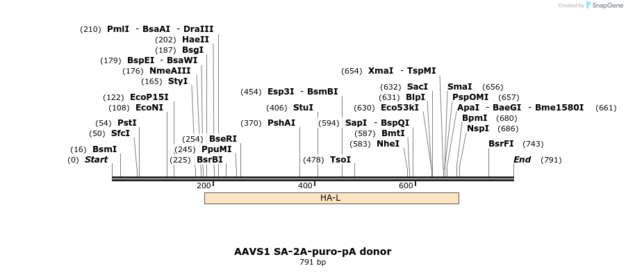 105682_map