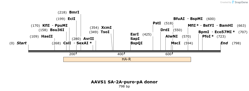 105687_map