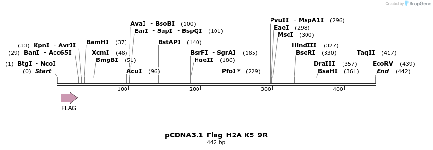 105688_map