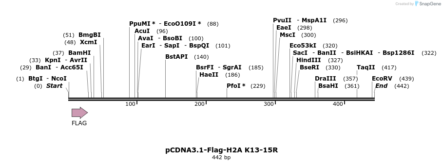 105689_map
