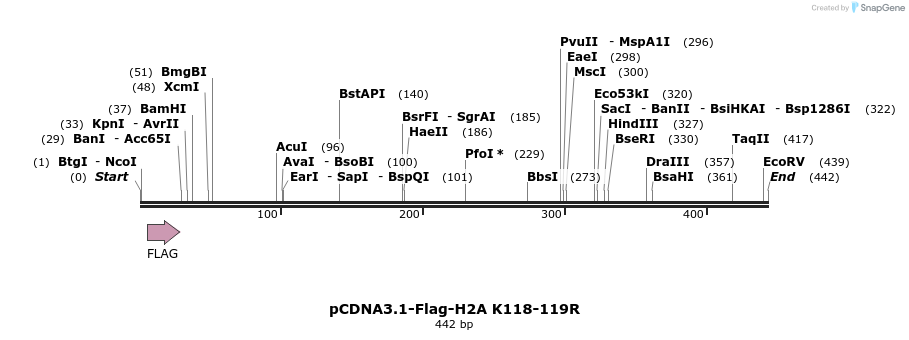 105691_map